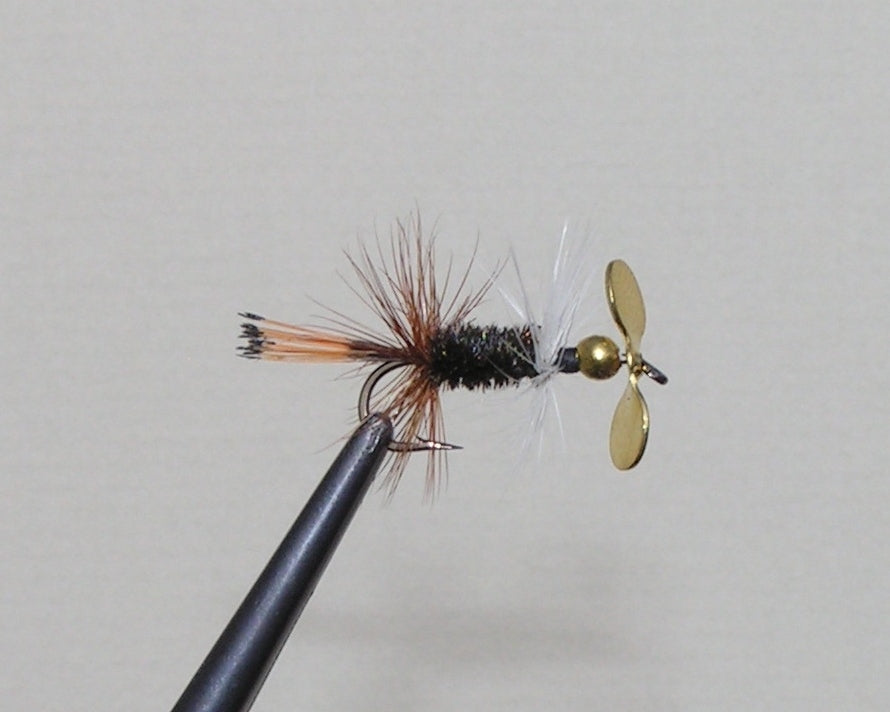 Peacock Lady #10