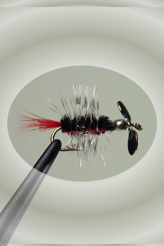 Black Striped #10 10002 1-Pack
