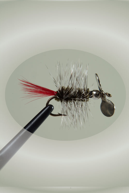 Olive #10 10008 1-Pack