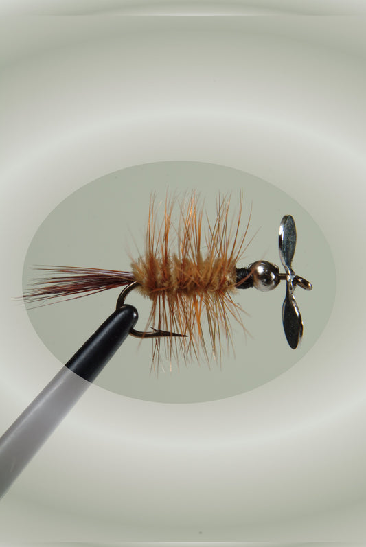 Ginger #10 10011 1-Pack