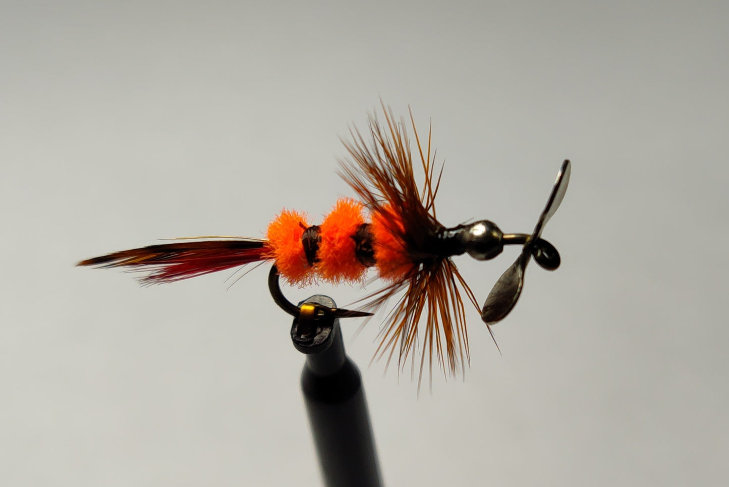 Tiger Wasp #10