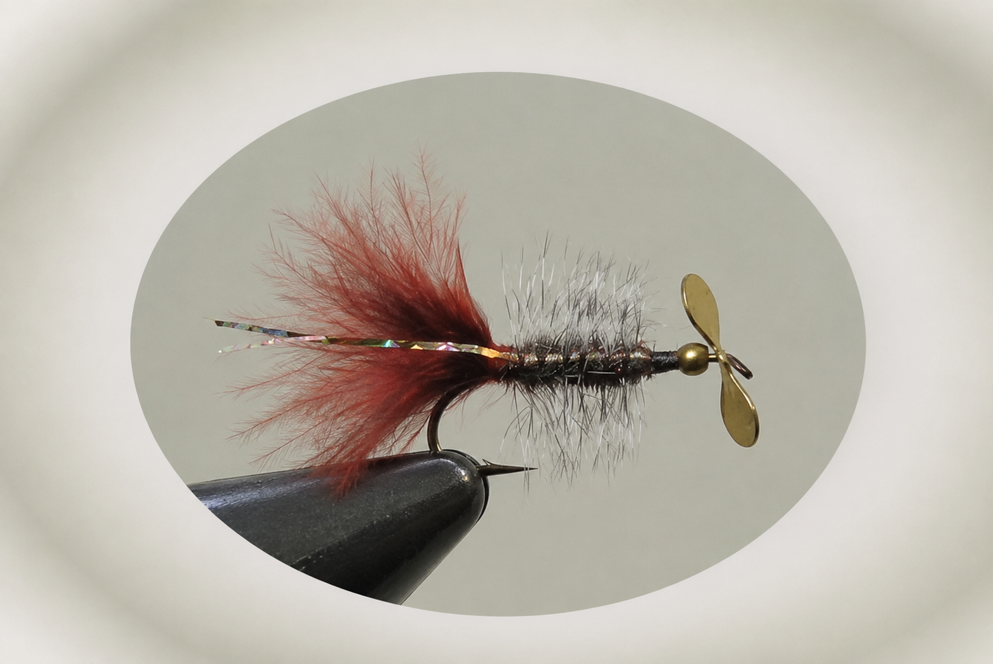 Peacock Flash #6