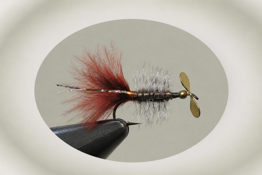 Peacock Flash #10